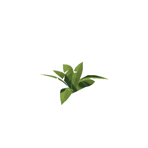 Plant_10 Variant